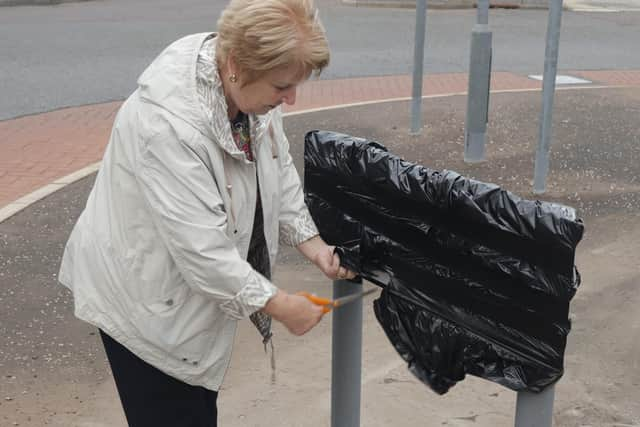 Having taken the lead on the project, Eleanor did the honours at unveiling.