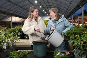 The Mother’s Day Afternoon Tea & Planting Experience at Dobbies Garden Centres combines hands-on planting with a luxury Afternoon Tea