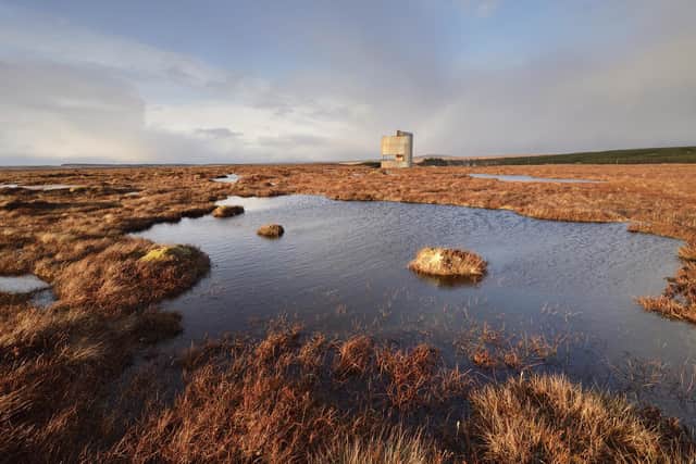 Blanket bog at Forsinard Flows National Nature Reserve is part of Scotland's globally important Flow Country, which covers a large area of Caithness and Sutherland. Picture: Lorne Gill/NatureScot