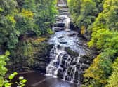 The Falls of Clyde secured ninth place on the UK's Most Popular Waterfalls list.