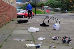 Too much litter