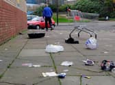 Too much litter