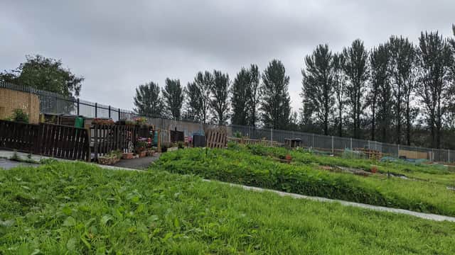 18 new plots have been added at Mansewood Allotments