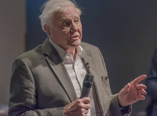 Sir David Attenborough the most sought after guest speaker (photo: Getty Images)