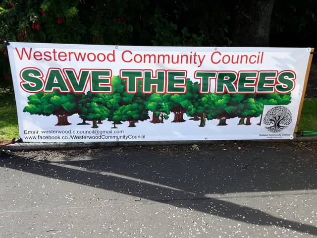 Save the Trees