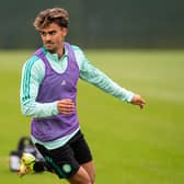 Jota has joined Celtic on a season-long loan from Benfica . (Photo by Ross MacDonald / SNS Group)