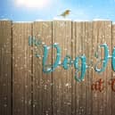 The Dog House has a brand new series starting in the new year and are looking for people who want to adopt a rescue dog (Apply Below)