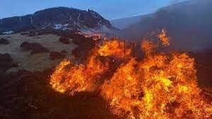 Wildfires threaten habitat, wildlife, forestry, property and crops