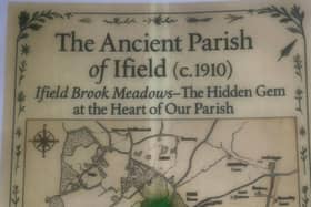 Ifield Brook Meadows - Jewel in the Crown of the ancient Parish of Ifield
