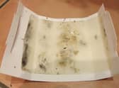 Glue traps are still legal in the UK