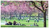 Edinburgh is set to enjoy some sunny weather this week, according to the Met Office.