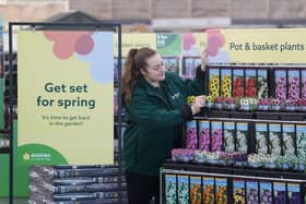 Dobbies Garden Centres launch spring