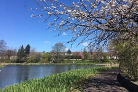 Located in the grounds of Gartnavel Hospital, Bingham's Pond is popular with runners.