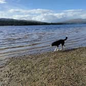Enjoying the bonnie bonnie banks of Loch Lomond