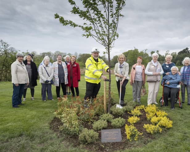 The memorial was placed and the tree planted on the site of the former Broomhill Hospital