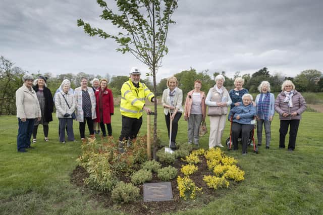 The memorial was placed and the tree planted on the site of the former Broomhill Hospital