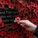 A person holds a poppy as they look at a wall made of 10,000 remembrance poppies following the RBL's Poppy Appeal 2022 (photo: Getty Images)