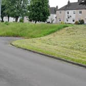 An illustration of grass the council will cut - and a contrasting patch which the council says it does not own
