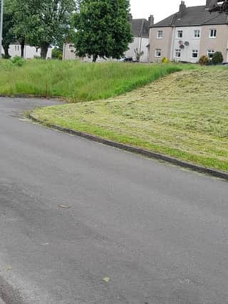 An illustration of grass the council will cut - and a contrasting patch which the council says it does not own