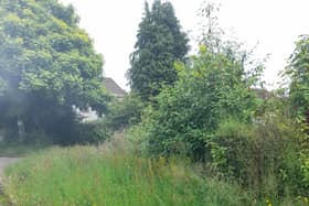 Grass cutting row
