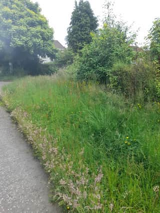 Grass cutting row