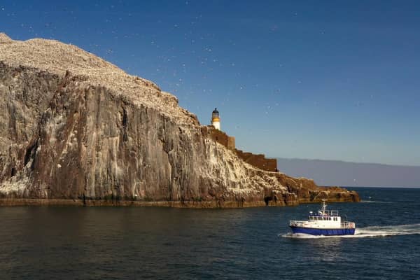 The Bass Rock is a haven for many species of seabirds