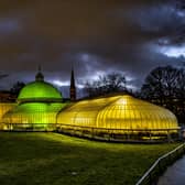 If you want to propose during a day trip out of Edinburgh, there are plenty of romantic spots in nearby Glasgow - including the Botanic Gardens. The peaceful gardens, which are full of greenery all year round, would provide a lovely backdrop to your special moment.