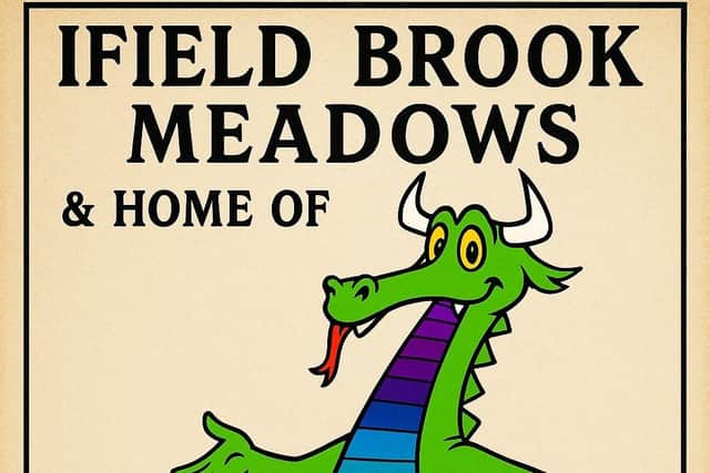 ‘The Friendly Dragon of Ifield Brook Meadows’