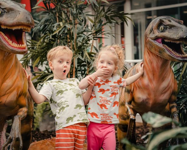 Families can go wild with their imaginations this summer