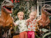 Families can go wild with their imaginations this summer