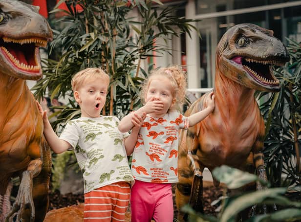 Families can go wild with their imaginations this summer