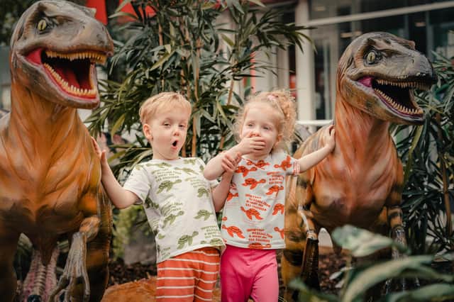 Families can go wild with their imaginations this summer