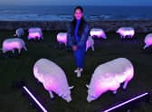 Illuminated sheep art work at Bamburgh with artist Deepa Mann-Kler
 (photo: Raoul Dixon)