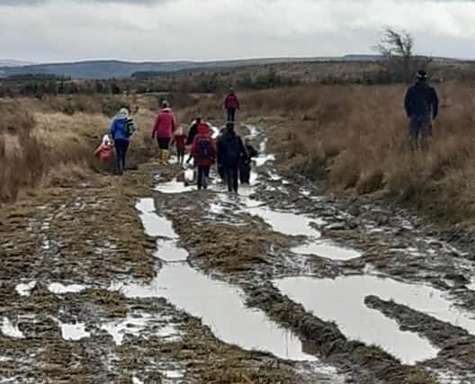 Locals enjoy a muddy puddle walk!