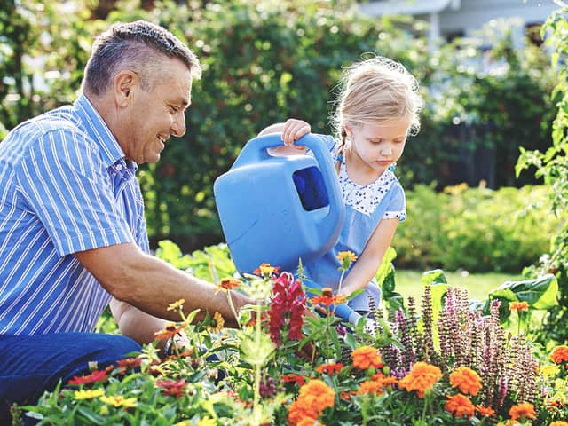 August often means summer holidays away from home – but it is important to not neglect your garden. Ask friends, family, and neighbours to water plants and flowers