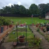 winning garden