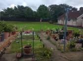 winning garden