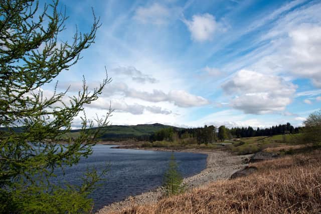 There are plenty of lovely walks in the enormous Galloway Forest Park but one of the nicest during winter starts at Clatteringshaws Visitor Centre. The two hour trail takes in Clatteringshaws Loch, Bruce's Stone (commemorating Robert the Bruce's victory at the Battle of Glen Trool in 1307), winter woodland and the 'Loch View hike' offering spectacular vistas of the surrounding countryside.