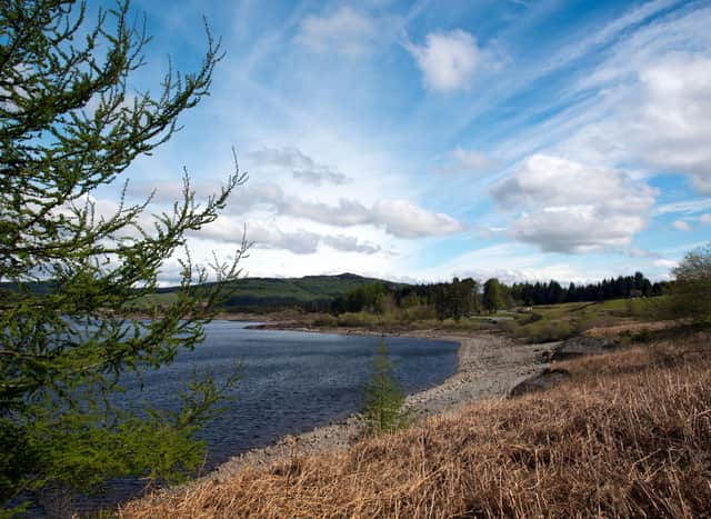 There are plenty of lovely walks in the enormous Galloway Forest Park but one of the nicest during winter starts at Clatteringshaws Visitor Centre. The two hour trail takes in Clatteringshaws Loch, Bruce's Stone (commemorating Robert the Bruce's victory at the Battle of Glen Trool in 1307), winter woodland and the 'Loch View hike' offering spectacular vistas of the surrounding countryside.
