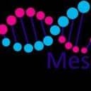 Meso ORIGINS