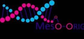 Meso ORIGINS