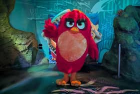 Angry Birds make a splash at SEA LIFE Loch Lomond
