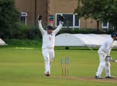 Skipper Bryan Clarke (Pic by David Potter)