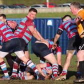 Uddingston's survival battle is going to the final day of the season