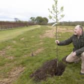 East Renfrewshire Council  leader Tony Buchanan helps with the planting in Barrhead’s Cowan Park. Pic: Mark F Gibson / Gibson Digital
