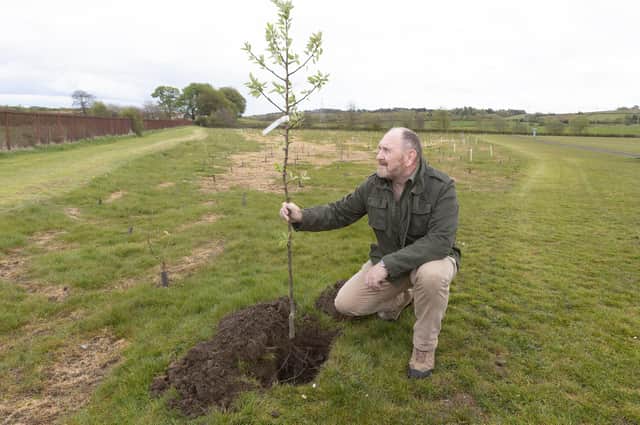 East Renfrewshire Council leader Tony Buchanan helps with the planting in Barrhead’s Cowan Park. Pic: Mark F Gibson / Gibson Digital