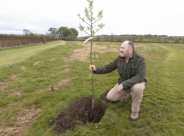 East Renfrewshire Council  leader Tony Buchanan helps with the planting in Barrhead’s Cowan Park. Pic: Mark F Gibson / Gibson Digital