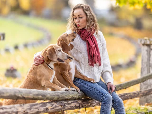 A young woman sits in the park with her dogs and shows them love (photo: Adobe)