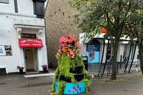 Milngavie in Bloom