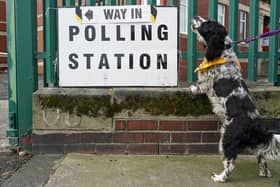 A dog at a polling station. Photo by Ian Forsyth/Getty Images